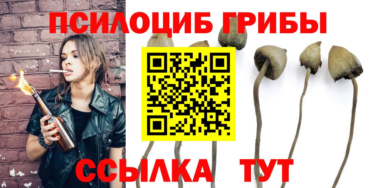 Псилоцибиновые грибы ЛСД  Вход с VPN  купить наркотик  Нижний Тагил 