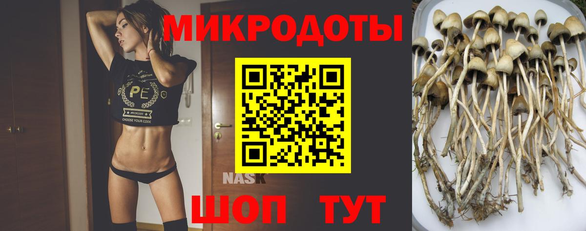 Псилоцибиновые грибы MAGIC MUSHROOMS Нижний Тагил